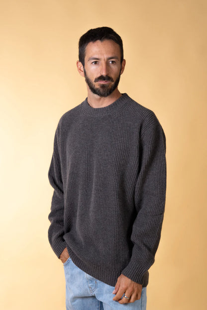 Roundneck Mens Recycled Wool Knit /Earth Taupe