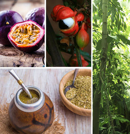 Palais Des Thés - Paris - Brazilian Detox (Øko) 