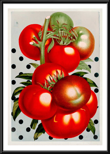 Juicy Tomato Polka Dots in a frame - Stoltzestudio