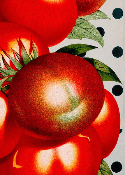 Juicy Tomato Polka Dots in a frame - Stoltzestudio