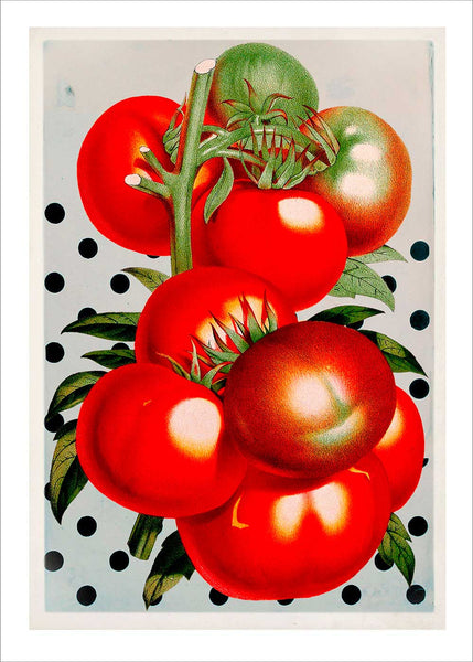 Juicy Tomato and Polka Dots - Stoltzestudio