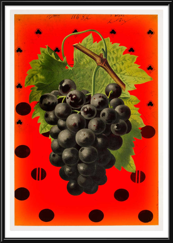 Grape and polka dots in a frame - Stoltzestudio