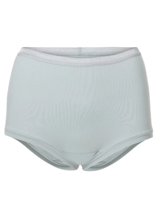 Brief Core Panties Organic Cotton (Hint of Mint) - Woron