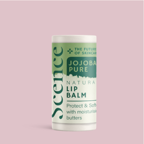 Scence Lip Balm (Jojoba Pure) - Scence